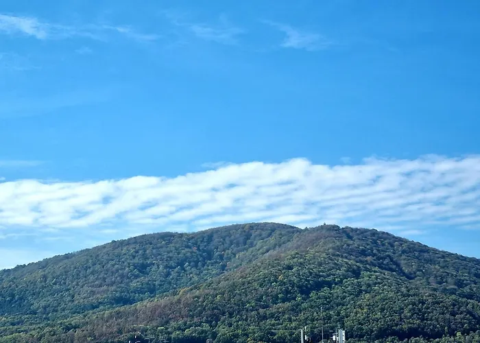 View 43 * Arandjelovac